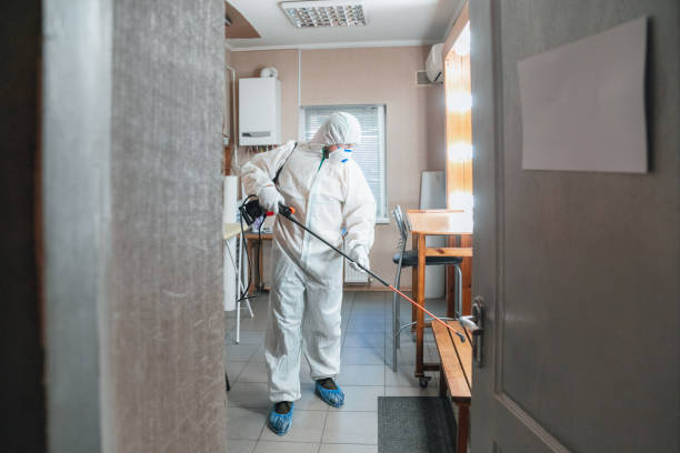 Best Emergency Mold Remediation  in Berlin, NJ