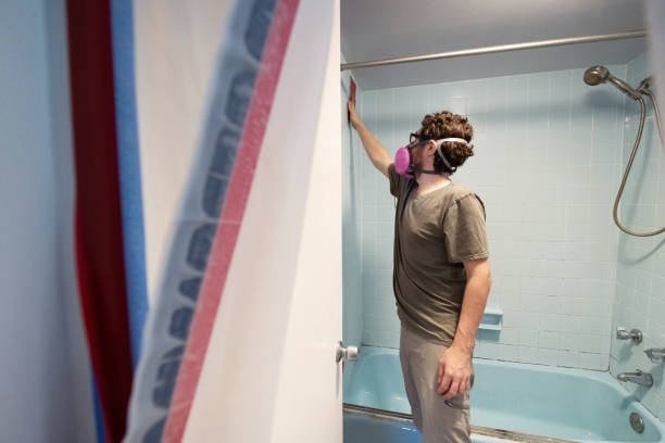 Best Mold Damage Restoration  in Berlin, NJ
