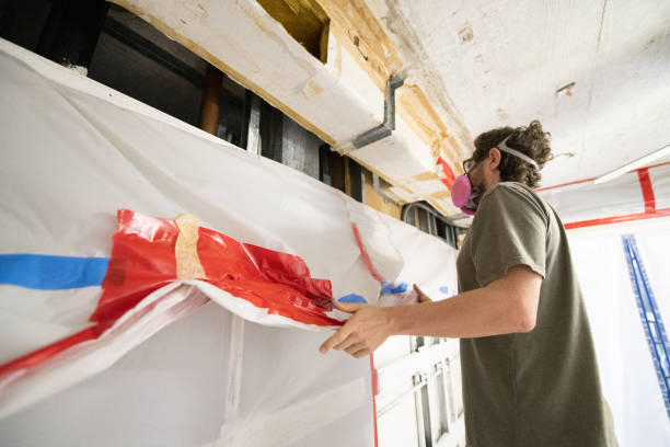 Best Basement Mold Removal  in Berlin, NJ