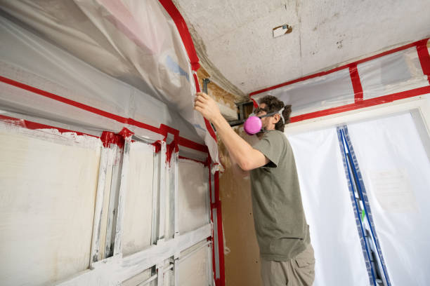 Best Mold Odor Removal Services  in Berlin, NJ