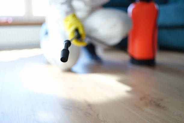 Best Mold Documentation for Insurance Claims  in Berlin, NJ
