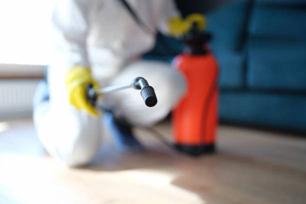 Best Attic Mold Removal  in Berlin, NJ