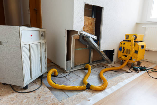 Forensic Mold Investigation in Berlin, NJ