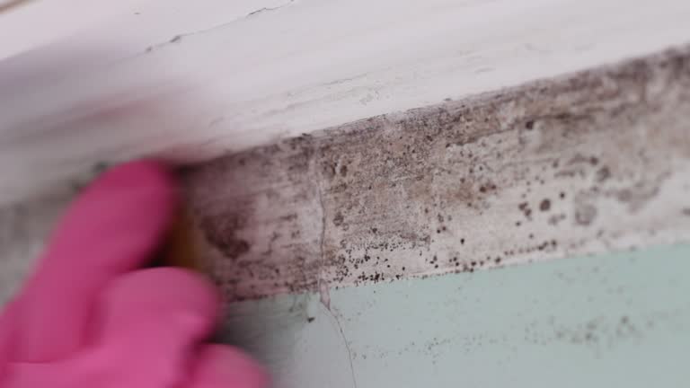 Best Post-Construction Mold Inspection  in Berlin, NJ